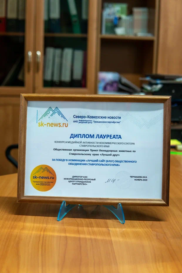 Гражданское партнерство 2019 Гражданское партнерство 2019