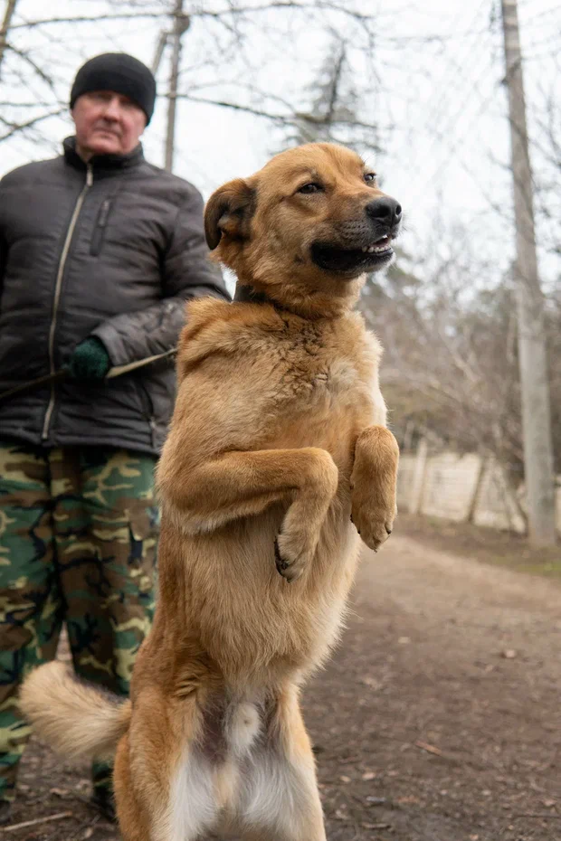 Артем Артем