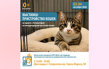Ждём вас на выставке-пристройстве «Пойдём домой»! 3 и 4 октября 2026 Ждём вас на выставке-пристройстве «Пойдём домой»! 3 и 4 октября 2026