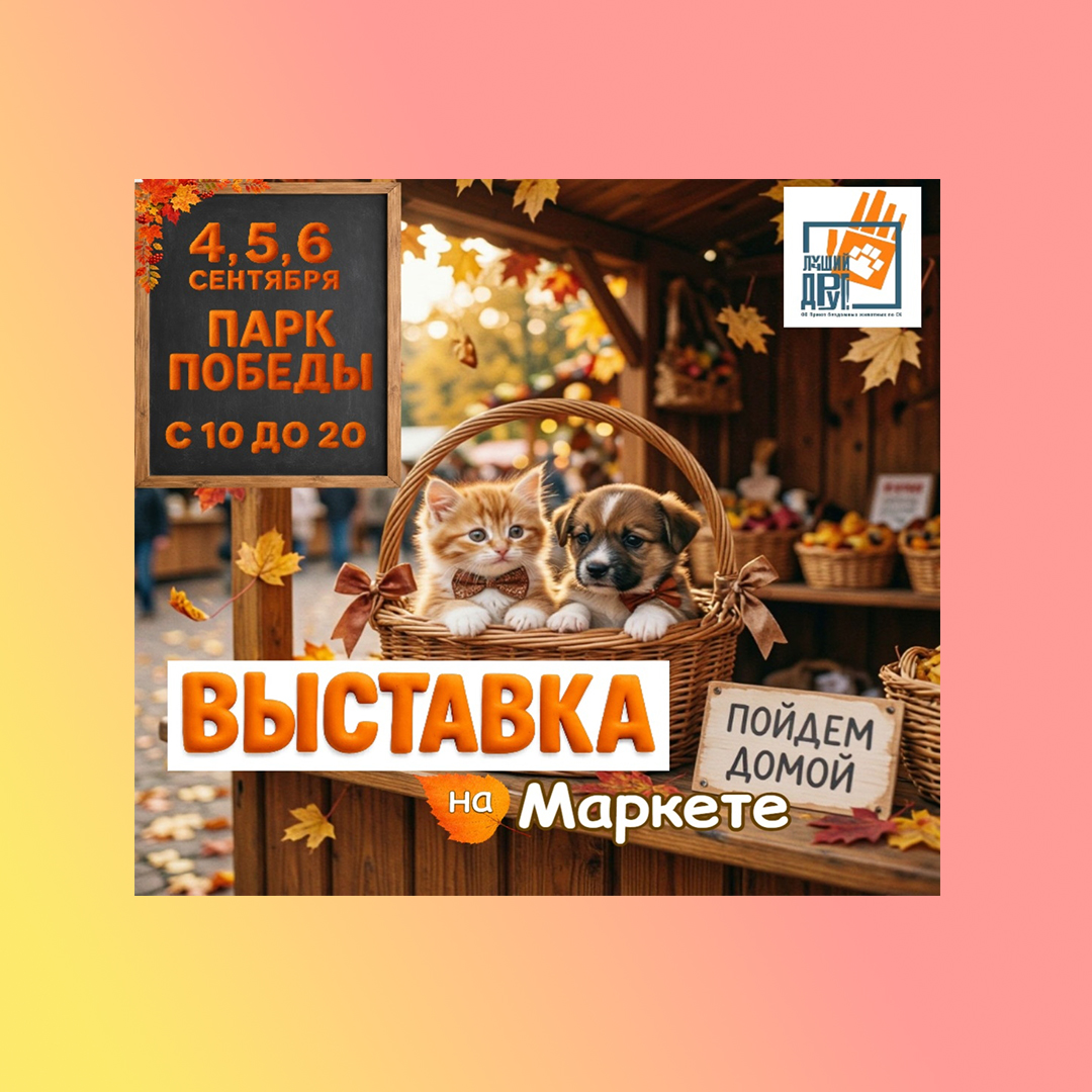 Выставка-пристройство животных «Пойдём домой» 4-5 и 6 сентября