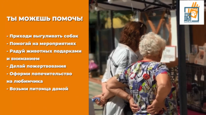 «Ярмарка добрых дел»: приходите знакомиться с работой НКО и нашими хвостиками! только 7 октября 2026